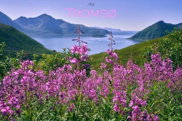 Vista panorámica de Ålesund, Noruega